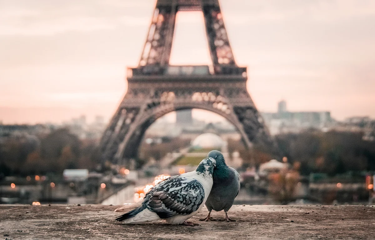 Representational Image