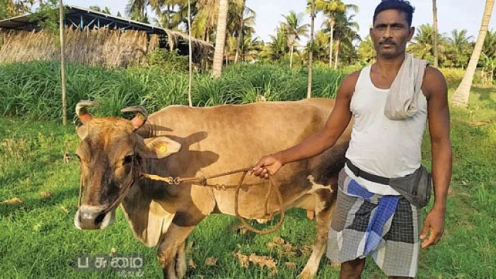 பால் கொள்முதல்