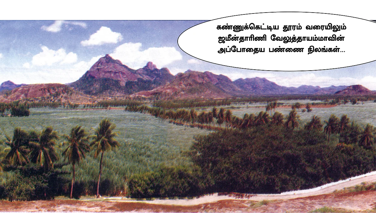 வருச நாட்டு ஜமீன் கதை - 32