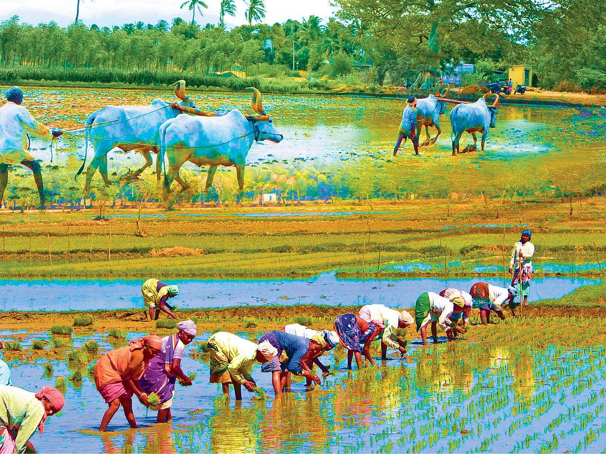 “காகிதப்பூ மாலை!” - 20 லட்சம் கோடி யாருக்கு?