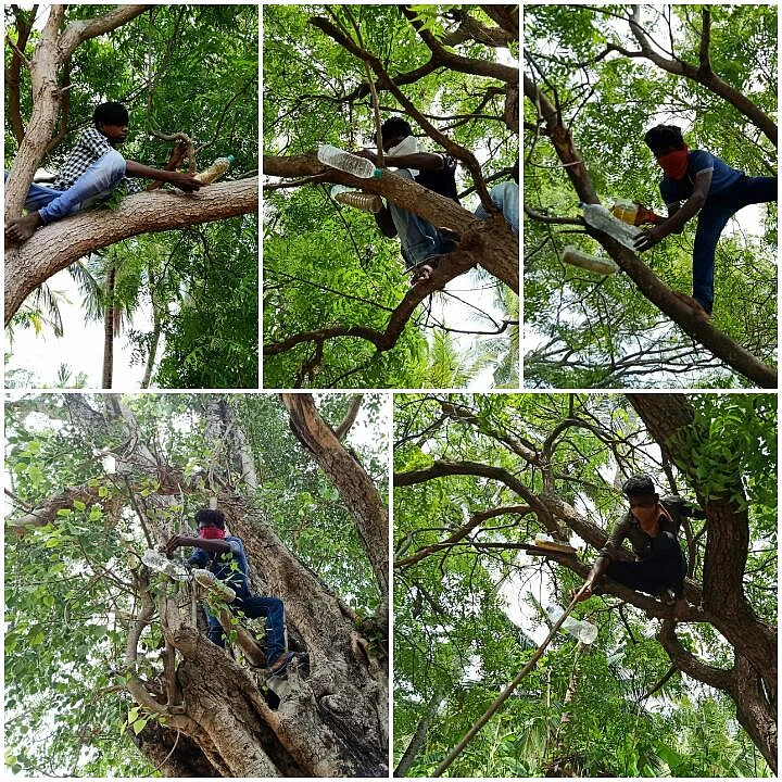 பாட்டில்கள் தொங்கவிடும் பணி