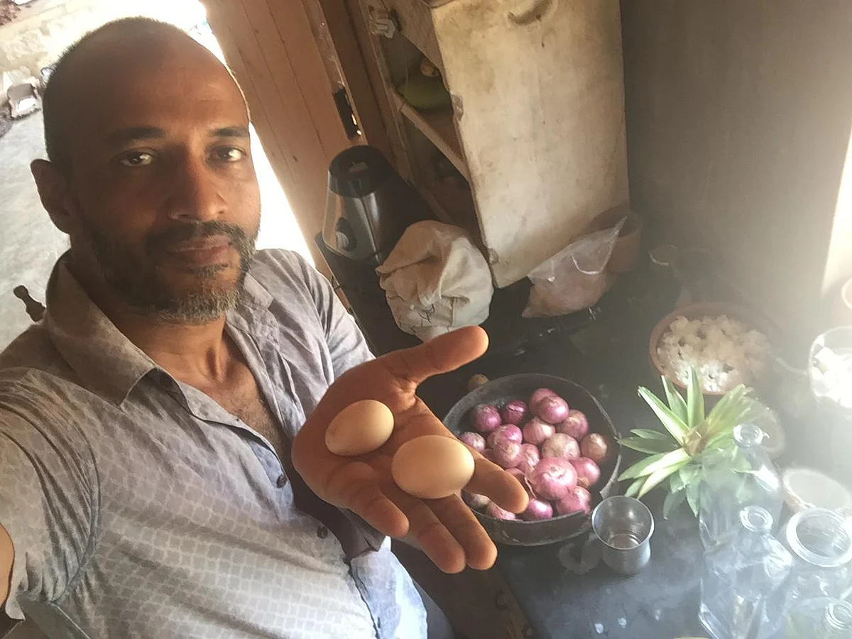 மாதவன் முதல் பிரகாஷ்ராஜ் வரை... இயற்கை விவசாயம் செய்யும் 9 சினிமா பிரபலங்கள்! #VikatanPhotoCards