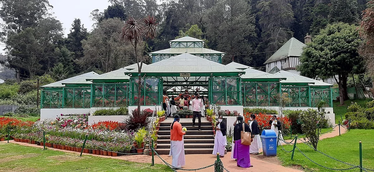 பூங்காவை கண்டுரசிக்கும் மருத்துவப் பணியாளர்கள்