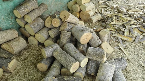 தீக்குச்சி மரத்தடிகள்