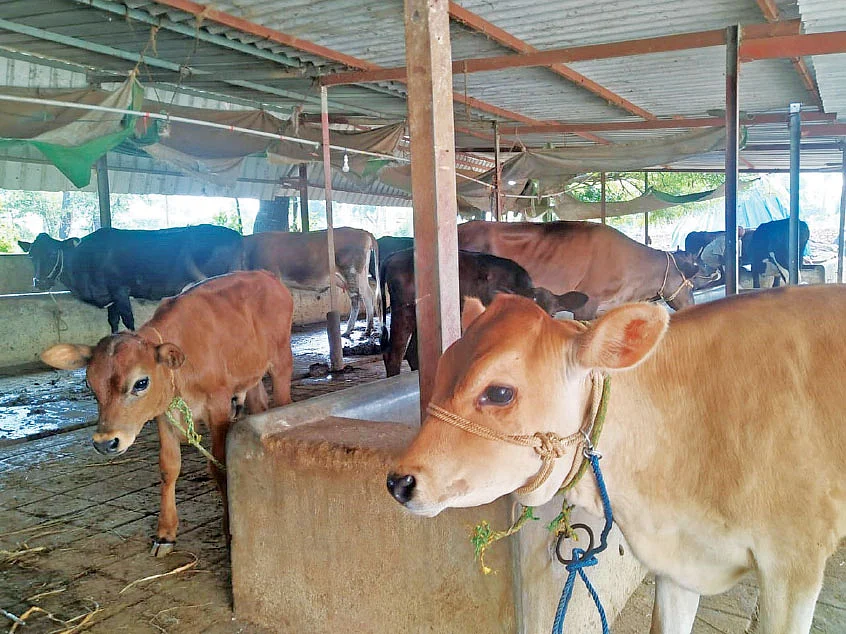 தவிக்கவிட்ட தனியார் நிறுவனங்கள்... அரவணைத்த அரசு நிறுவனம்! - கொரோனா காலத்தில் கைகொடுத்த ஆவின்!