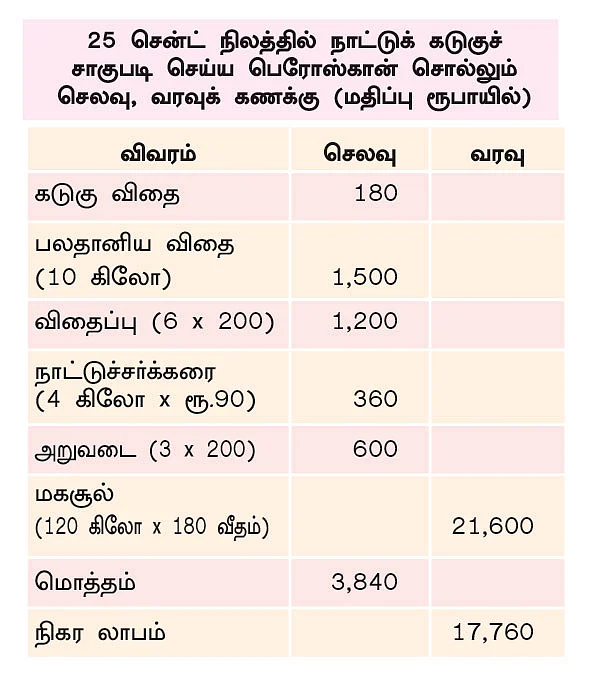நாட்டுக் கடுகுச் சாகுபடியில் அசத்தும் தேனி இளைஞர்கள்!
