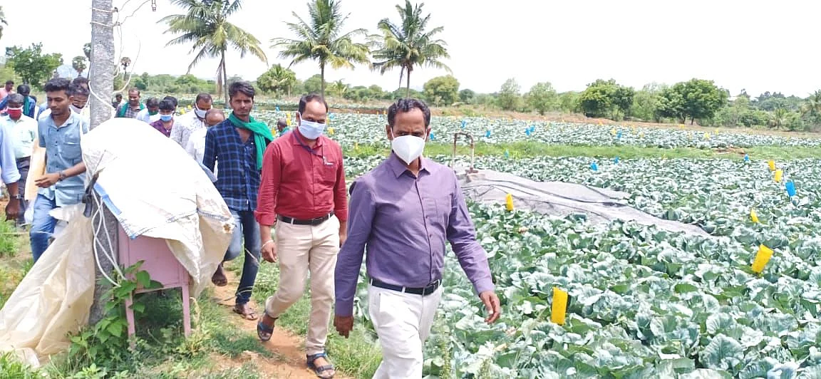 ஆய்வு மேற்கொண்ட கலெக்டர் பிரபாகர்