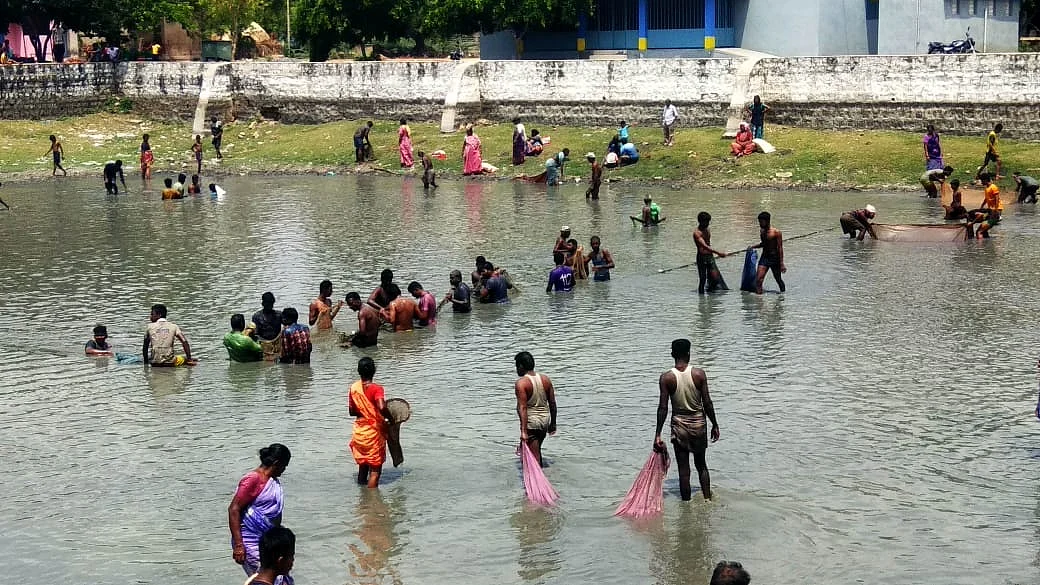 குளத்தில் மீன் பிடித்த மக்கள்
