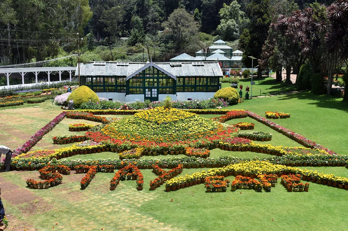 ooty botanical garden