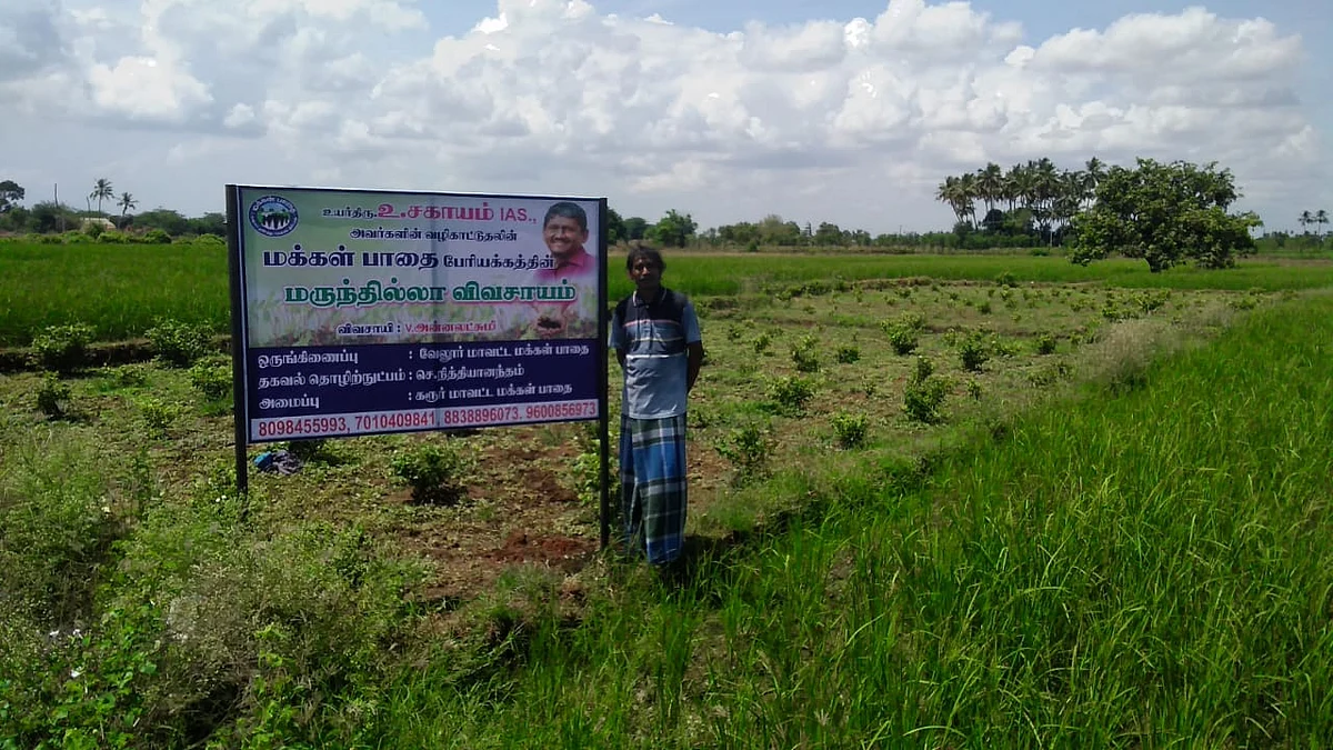 அன்னலட்சுமி வயலில் தங்கவேல்