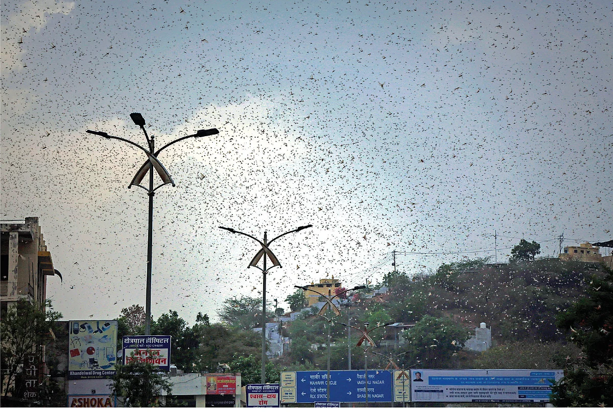 ஒரு நாளைக்கு 150 கி.மீ பயணம்... எட்டுக் கோடி மக்களின் உணவு கபளீகரம்...