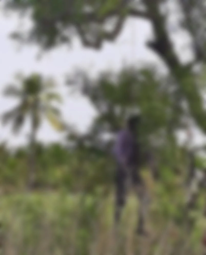 பிணமாக பன்சானன்