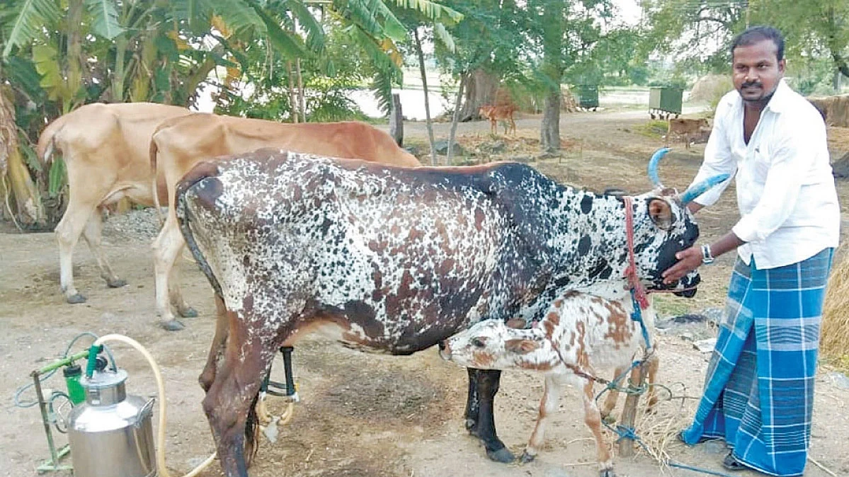 பால் கொள்முதல்