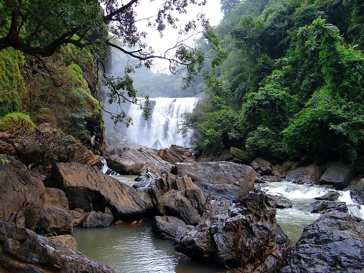பல்லுயிரிய வளம்