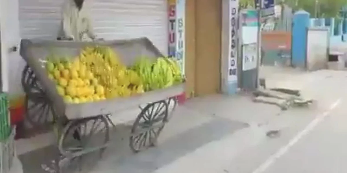 தள்ளுவண்டியைச் சாய்த்த நகராட்சி கமிஷனர்