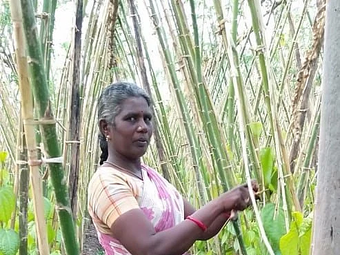 `போலீஸ் கெடுபிடி ஒரு பக்கம்.. சந்தைக்குப் போனா அதைவிட பெரிய கொடுமை!` - புலம்பும் பெண் விவசாயி