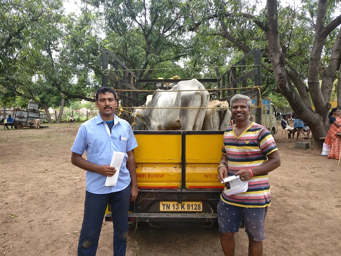 நாட்டு மாடுகளை தானமாகப் பெற்றுச் செல்கின்றனர்