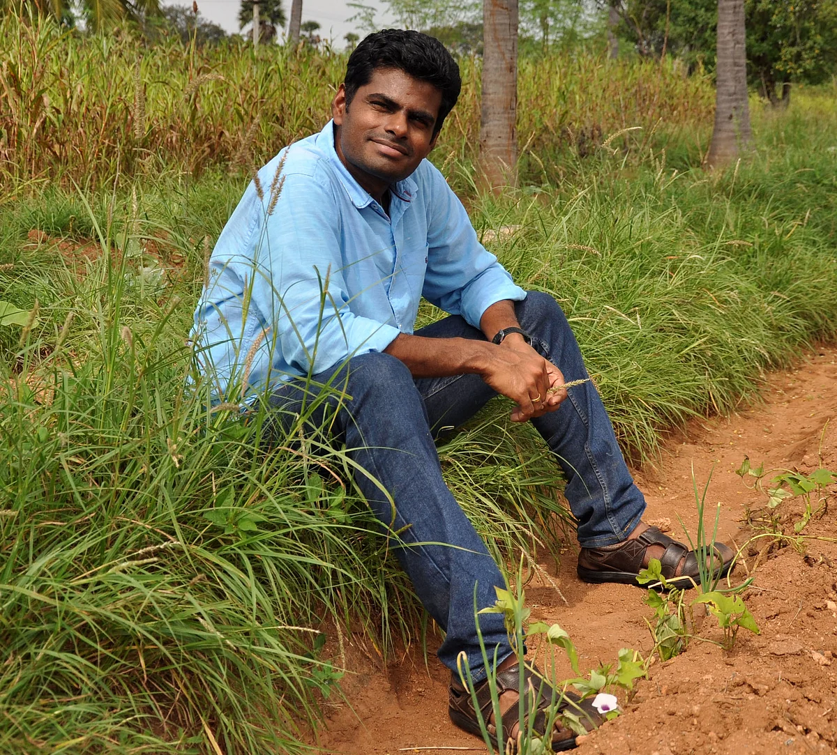 அண்ணாமலை