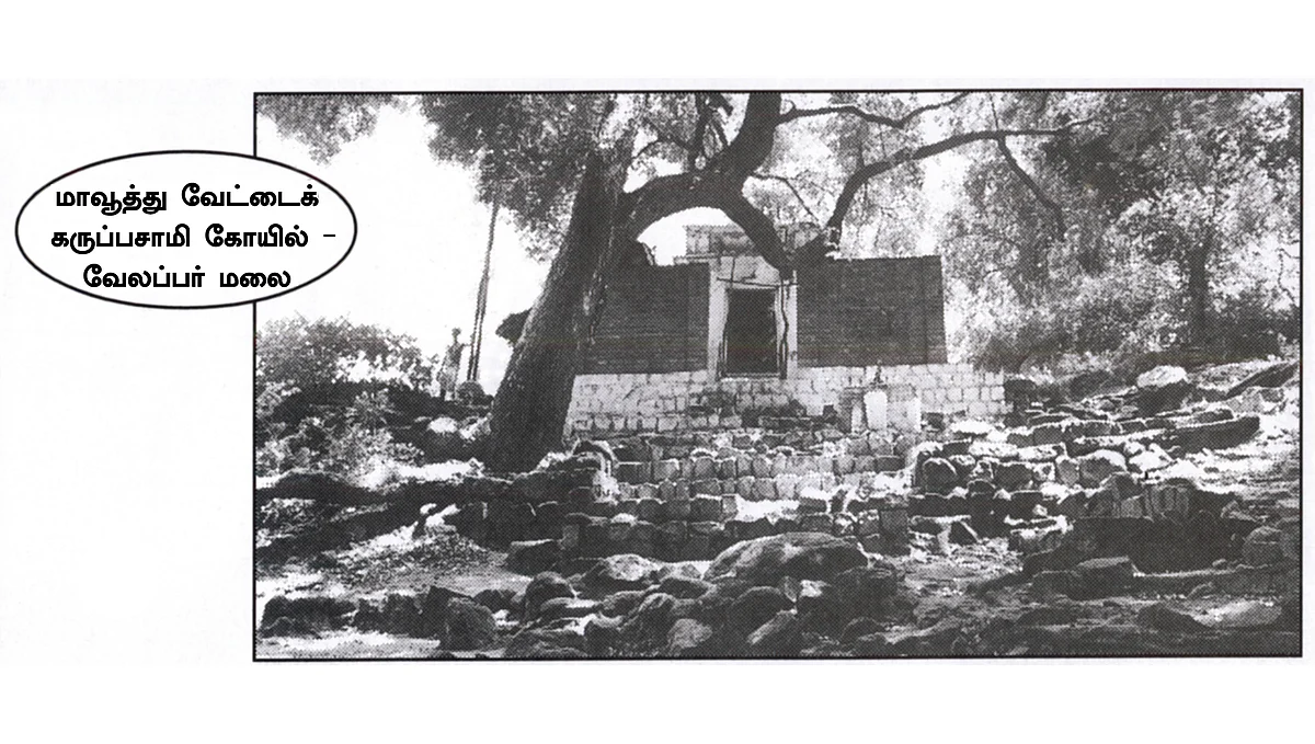 வருச நாட்டு ஜமீன் கதை - 44