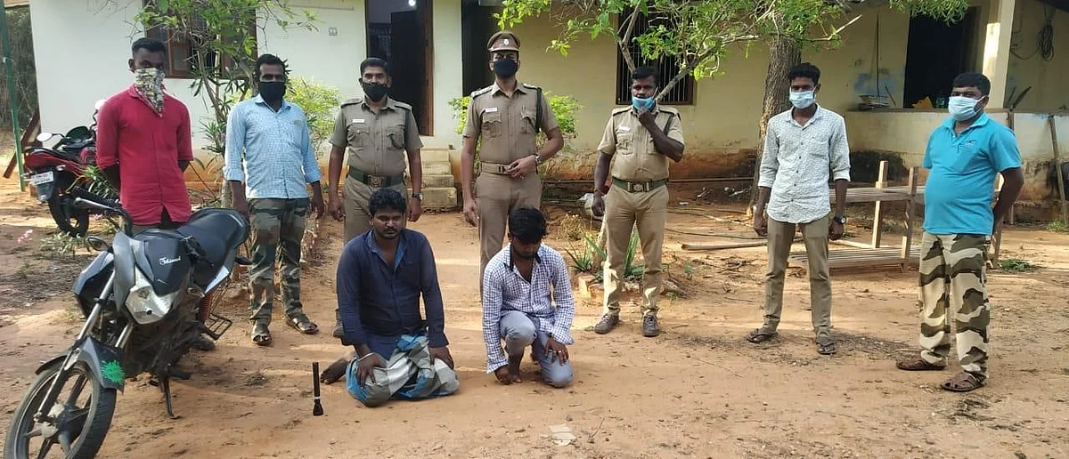 வனத்துறை அதிகாரிகளால் கைது செய்யப்பட்ட சிவக்குமார், தினேஷ்தாவீது