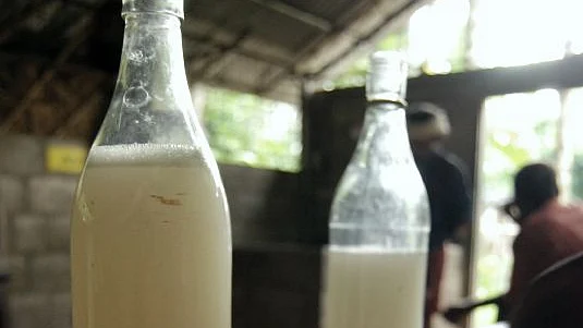 கள்ளு