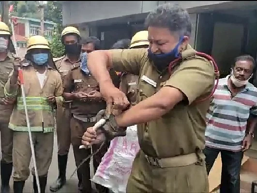 snake rescue