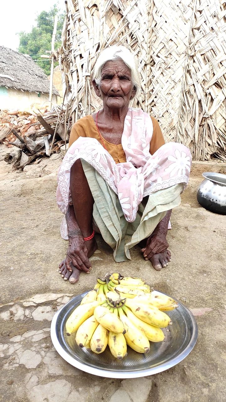 காமாட்சி பாட்டி