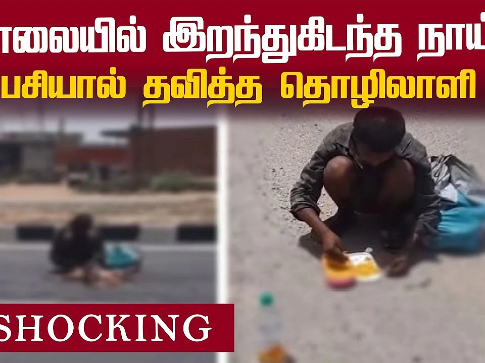 பசிக் கொடுமை... நாயின் இறைச்சியை உண்ணும் நிலை! | Lockdown