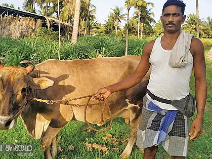 தவிக்கவிட்ட தனியார் நிறுவனங்கள்... அரவணைத்த அரசு நிறுவனம்! - கொரோனா காலத்தில் கைகொடுத்த ஆவின்!