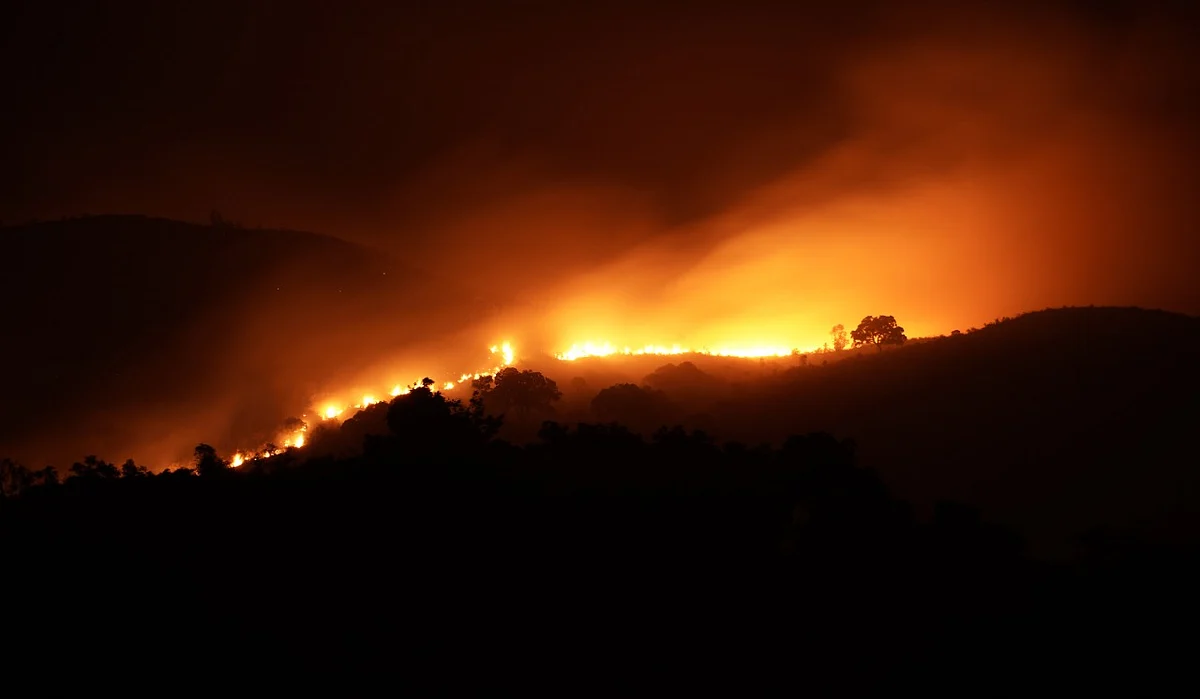 forest fire