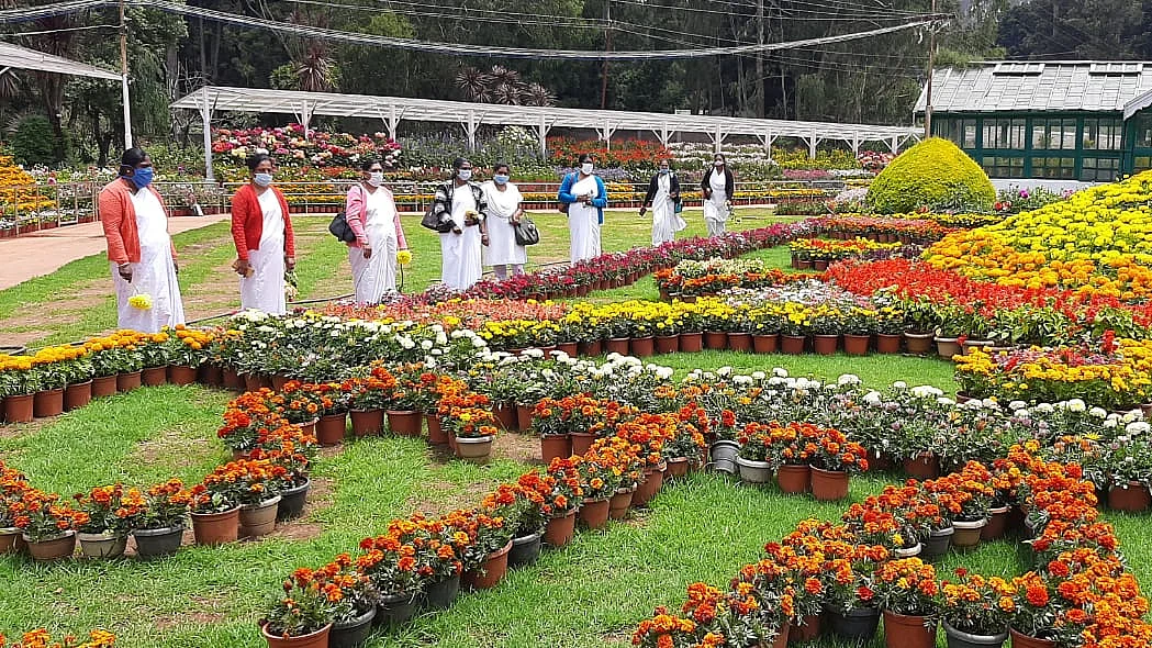 பூங்காவை கண்டுரசிக்கும் மருத்துவ பணியாளர்கள்