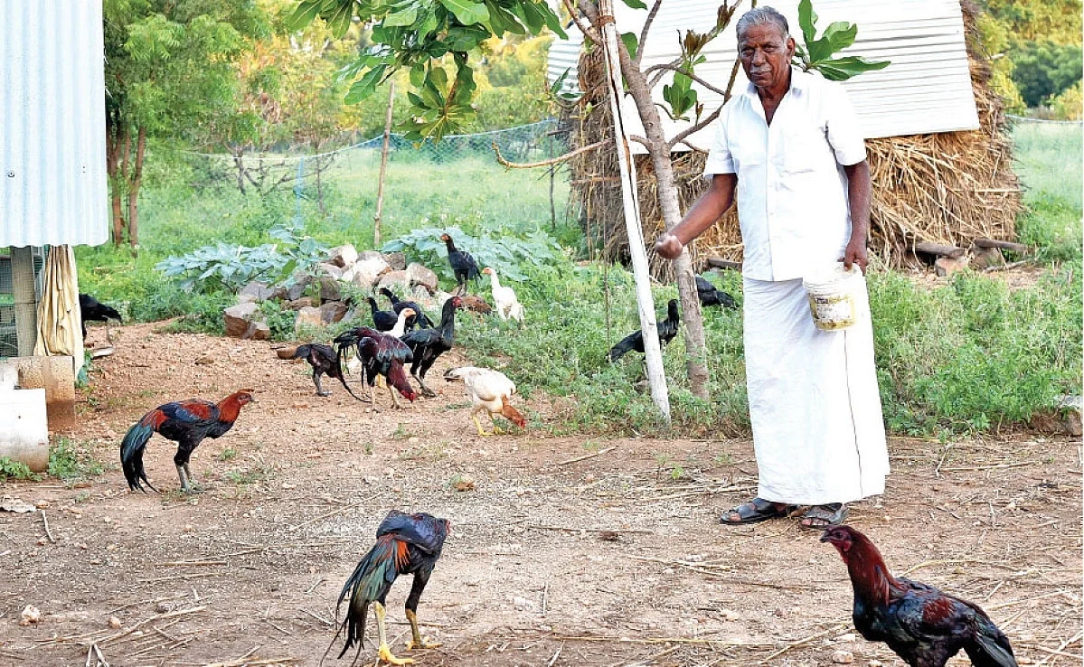 ``உடனடியாக வருமானம் கிடைக்காதுதான், ஆனா..." - சந்தன மரச் சாகுபடி அனுபவம்