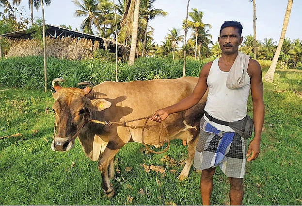 தவிக்கவிட்ட தனியார் நிறுவனங்கள்... அரவணைத்த அரசு நிறுவனம்! - கொரோனா காலத்தில் கைகொடுத்த ஆவின்!