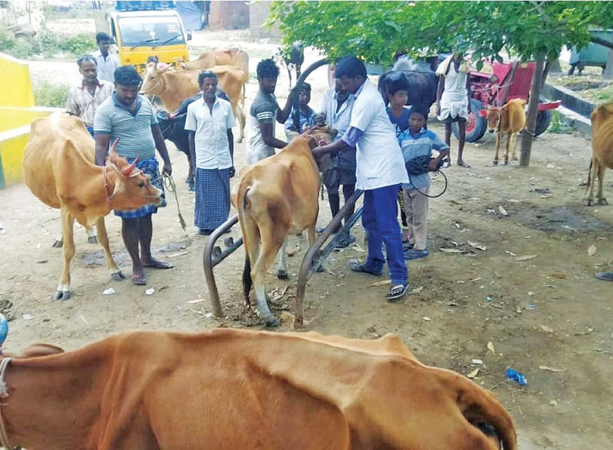 பால் கொள்முதல்