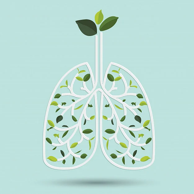 lungs and ashwagandha