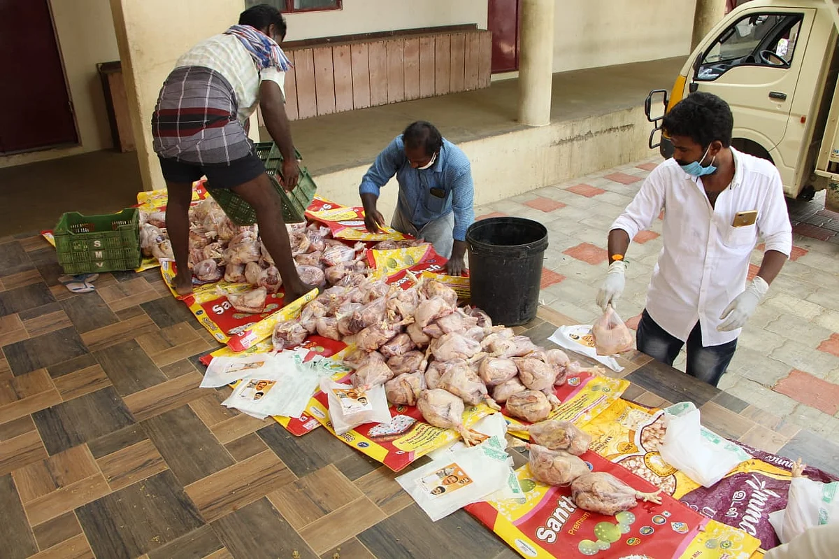 கோழிக்கறி விநியோகம்