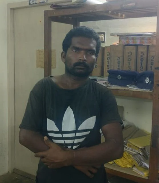 பாண்டி