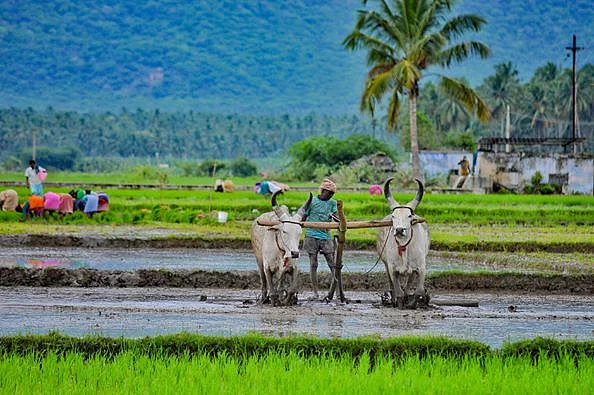 விவசாயி