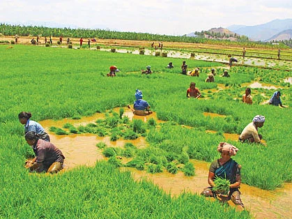 ‘விளைச்சல் இருந்தும் விற்பனை செய்ய முடியலை!’ - உழவர்களுக்கு நஷ்டமேற்படுத்திய ஊரடங்கு!