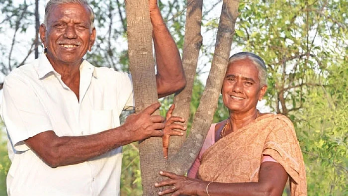``உடனடியாக வருமானம் கிடைக்காதுதான், ஆனா..." - சந்தன மரச் சாகுபடி அனுபவம்