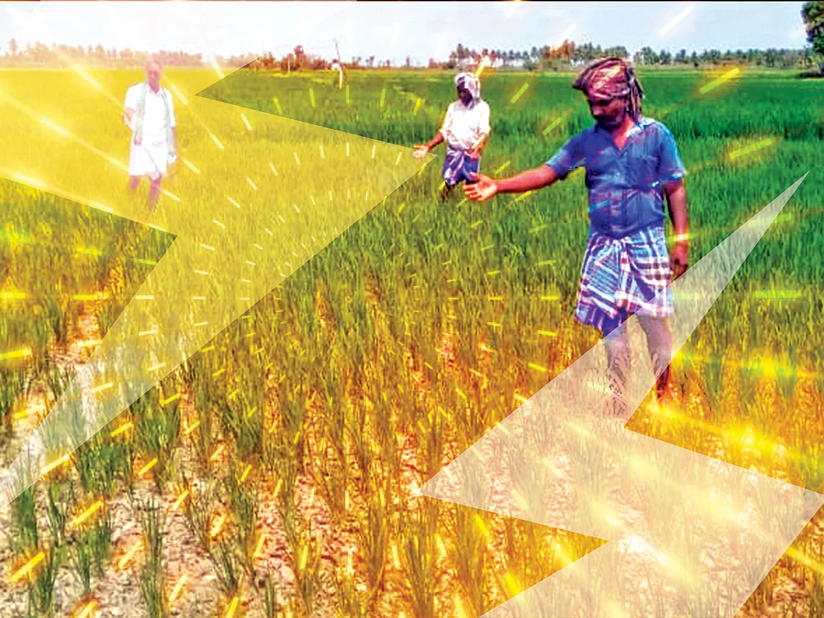 மும்முனை மின்சாரம் தட்டுப்பாடு... பன்முனை தாக்குதலில் விவசாயிகள்!