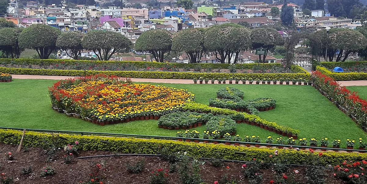 ooty rose park