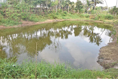 மீன் குட்டை