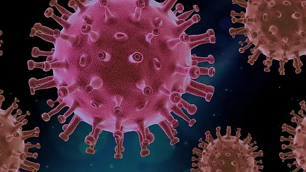 corona virus