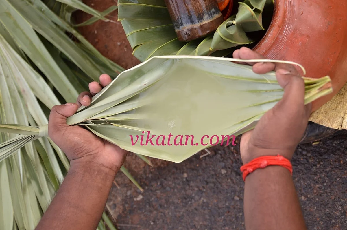 பதநீர்