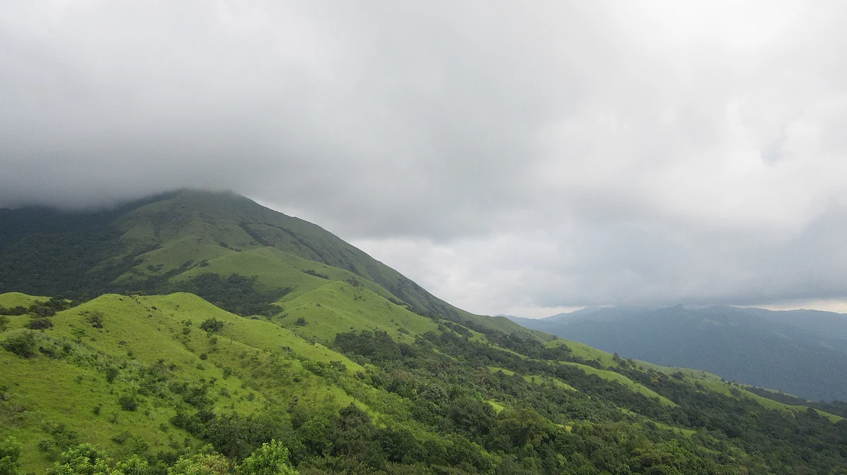 மேற்குத்தொடர்ச்சி மலை