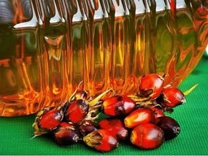 மலேசியாவிலிருந்து பாமாயில் இறக்குமதி தொடங்கியதால் உள்நாட்டு உற்பத்திக்கு பாதிப்பா?