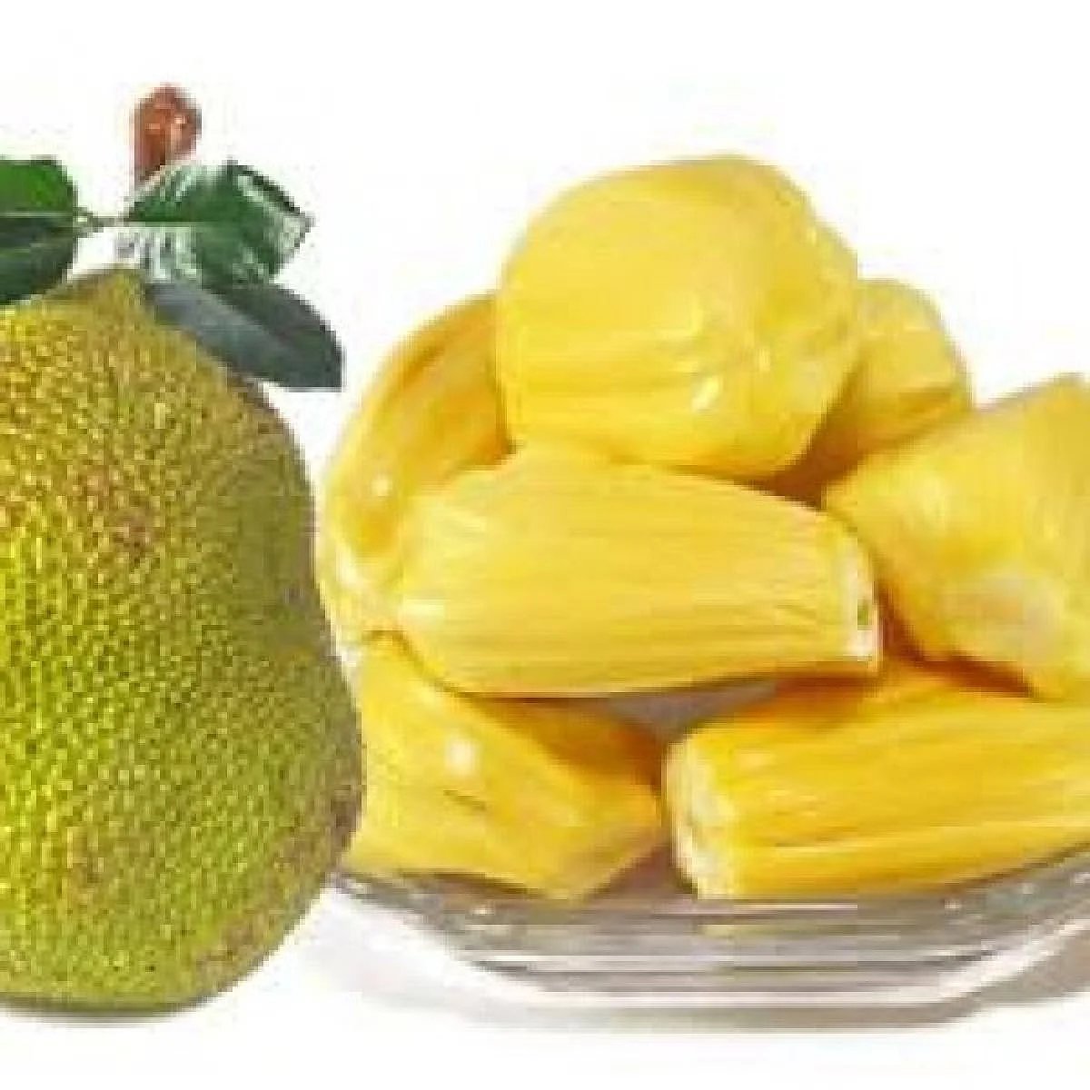 Jack Fruit