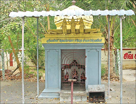 கண்டுகொண்டேன் கந்தனை - 31: பாக்கத்தில் அமர்ந்த பரமன்