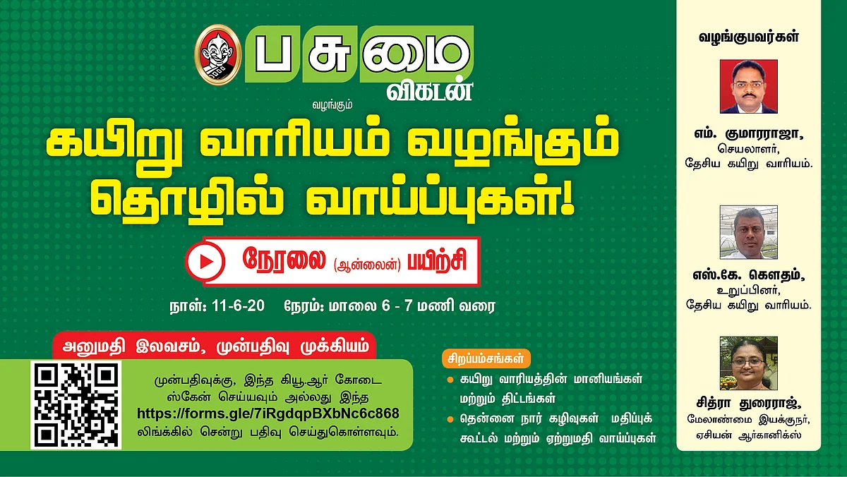 கயிறு வாரியம்